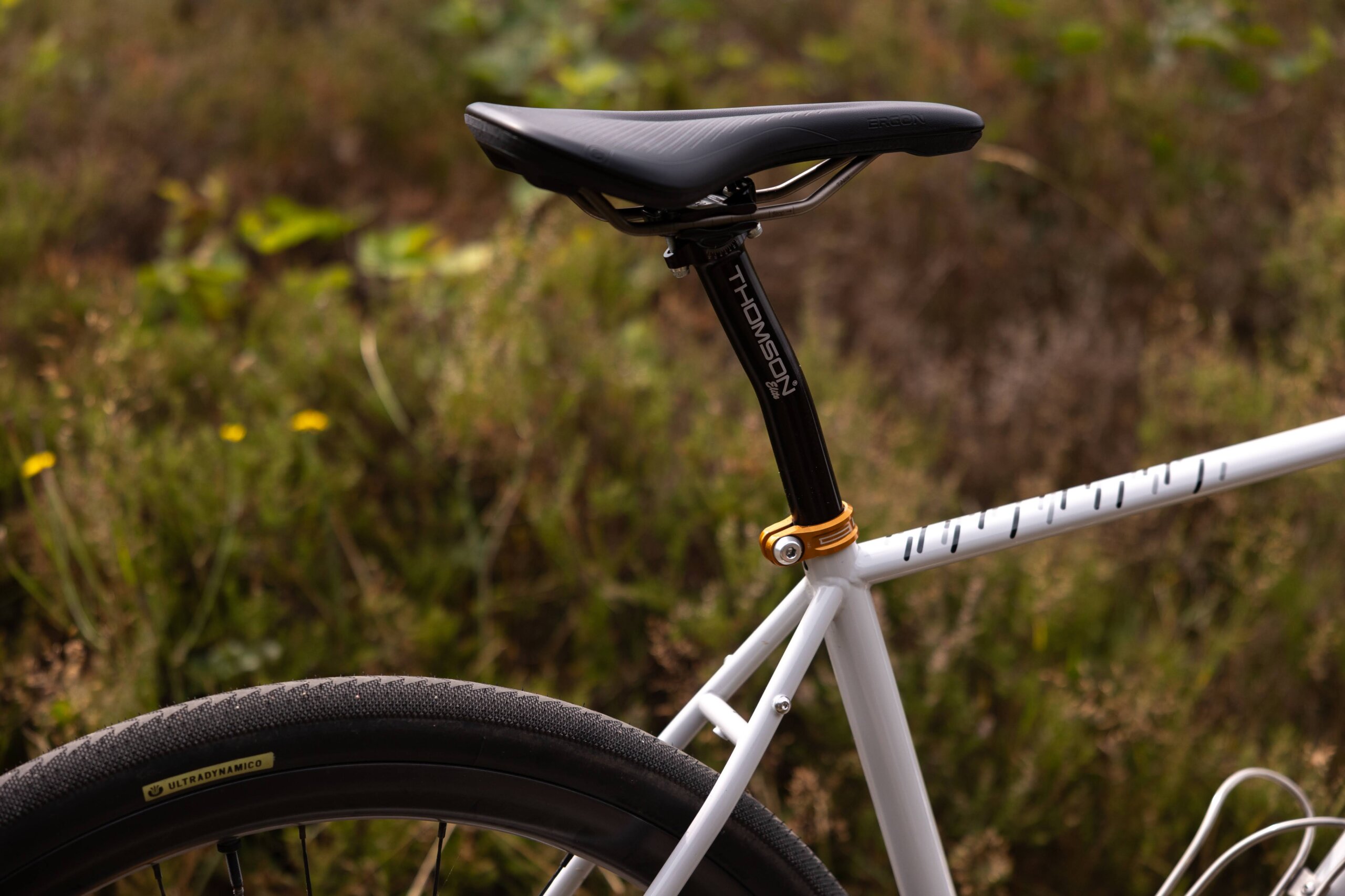 Secan 2.5 54R Monochrome