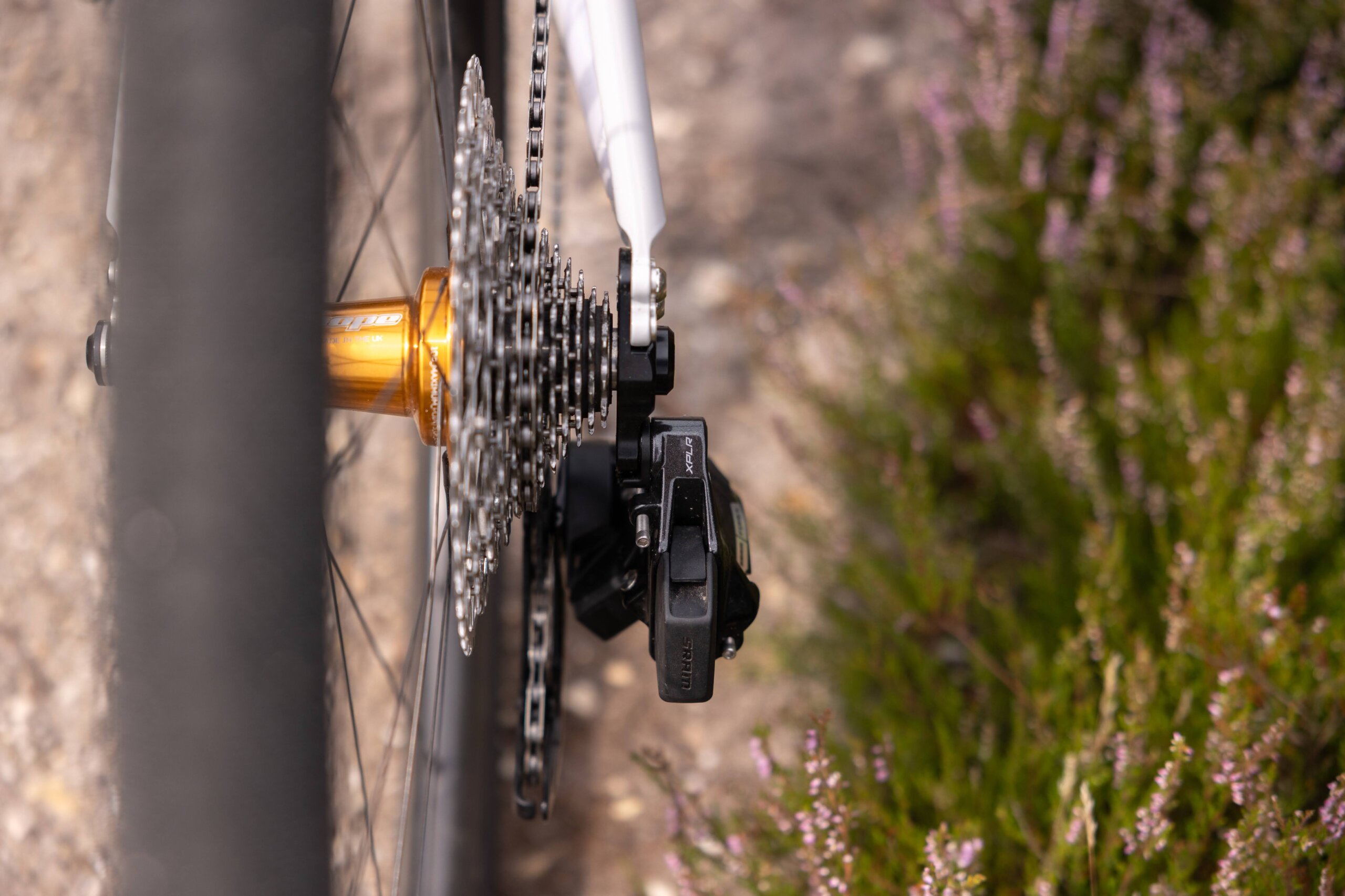 Secan 2.5 54R Monochrome