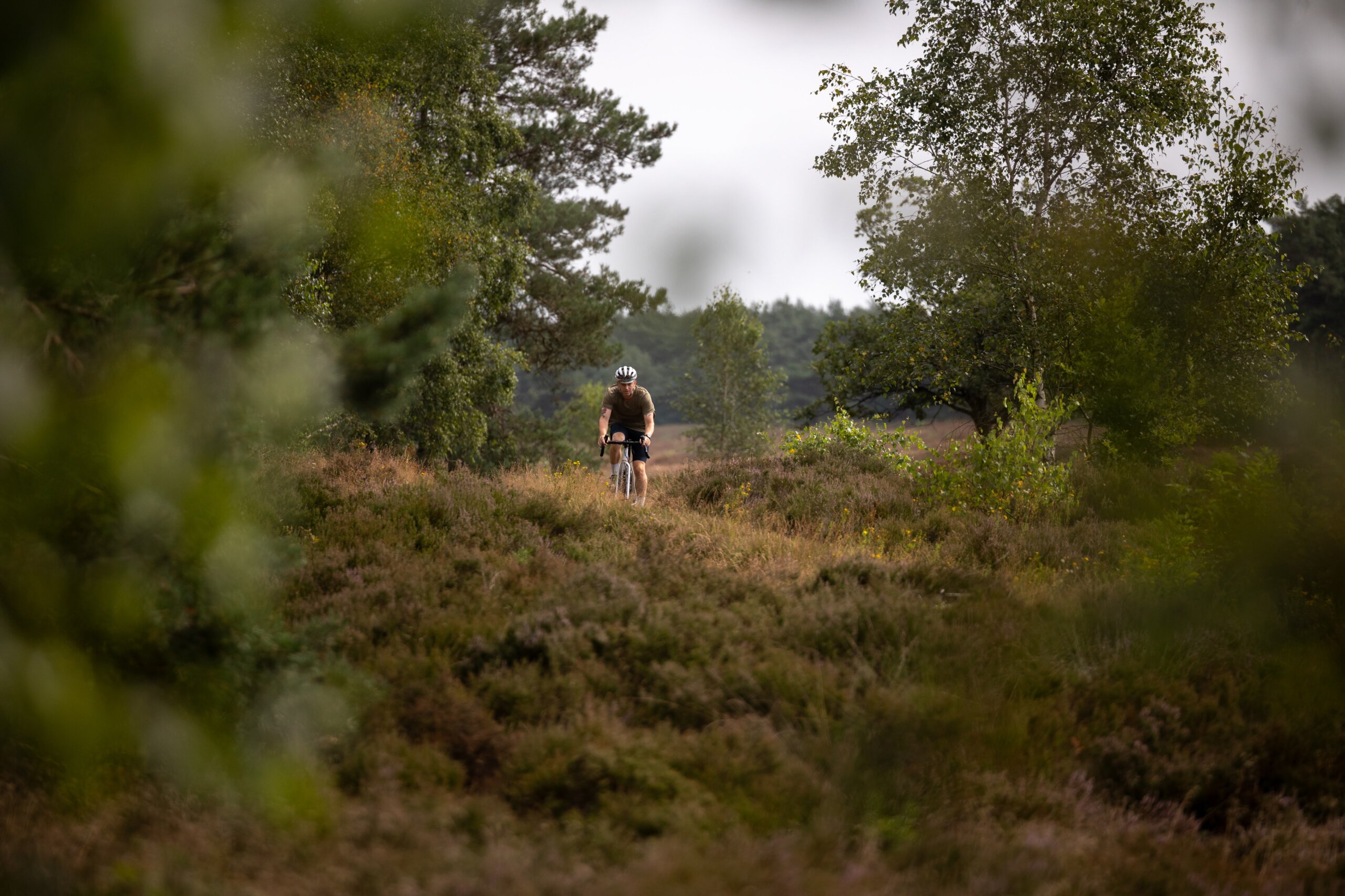 Secan 2.5 54R Monochrome