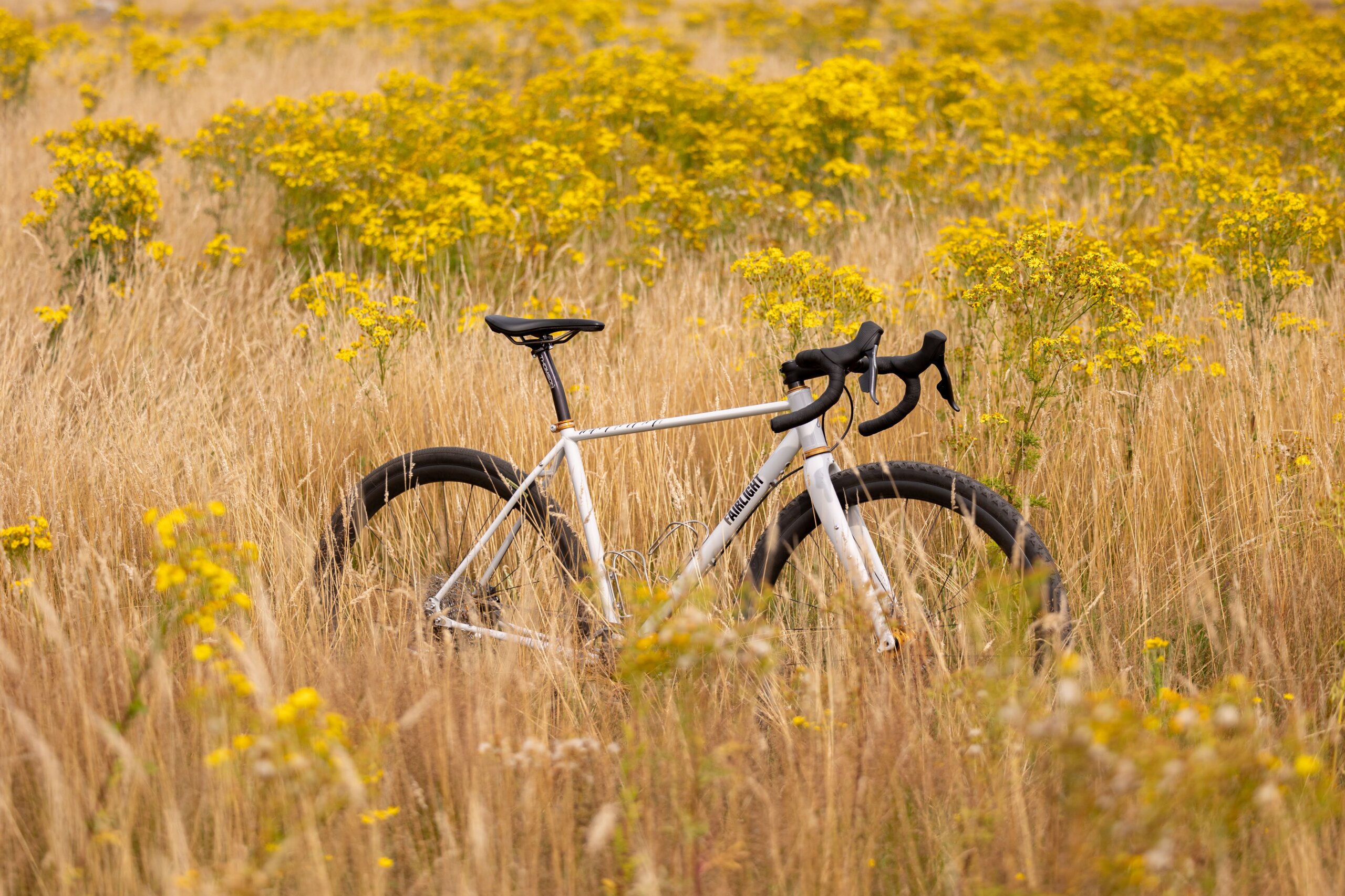 Secan 2.5 54R Monochrome