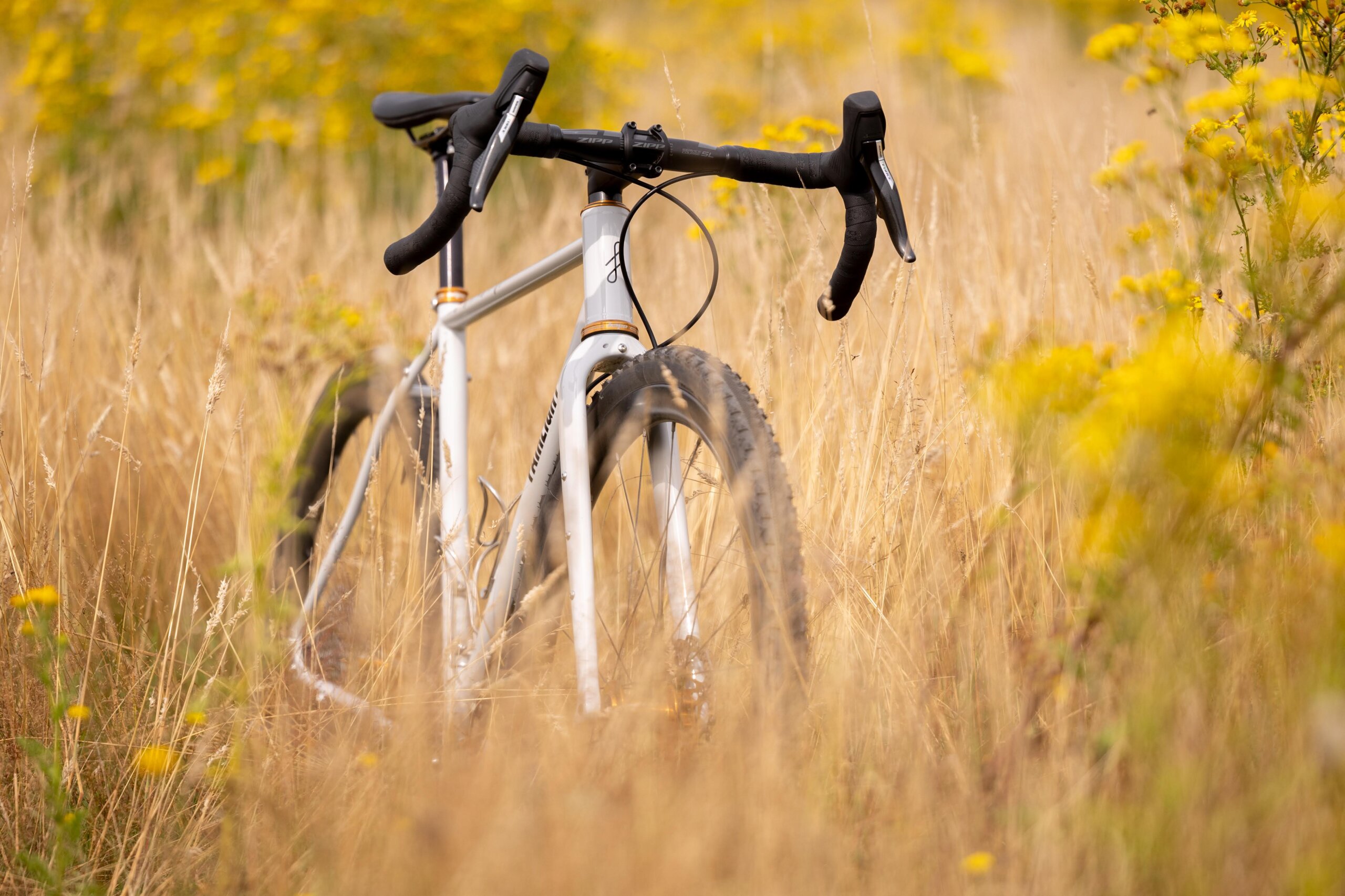 Secan 2.5 54R Monochrome