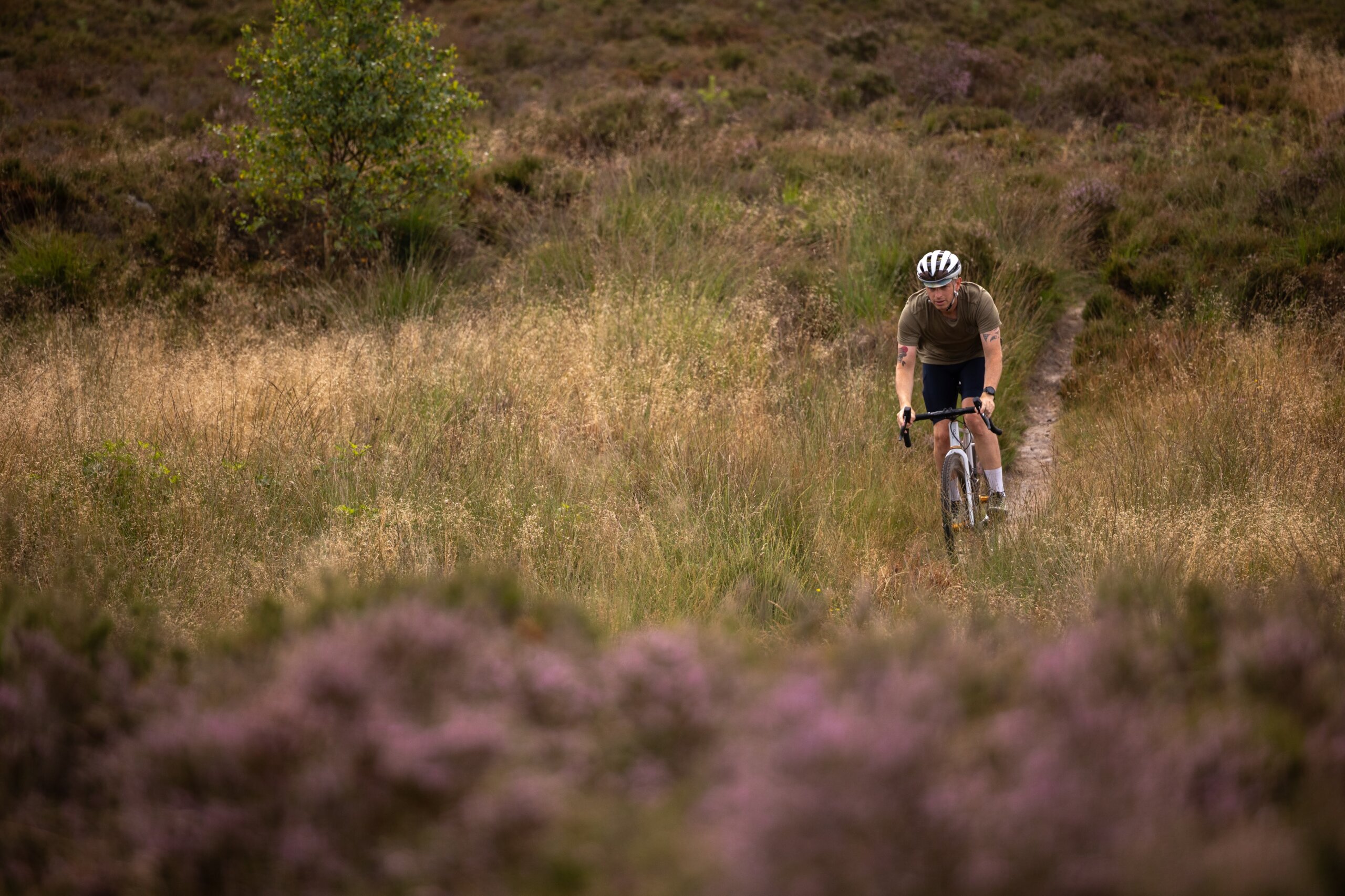 Secan 2.5 54R Monochrome