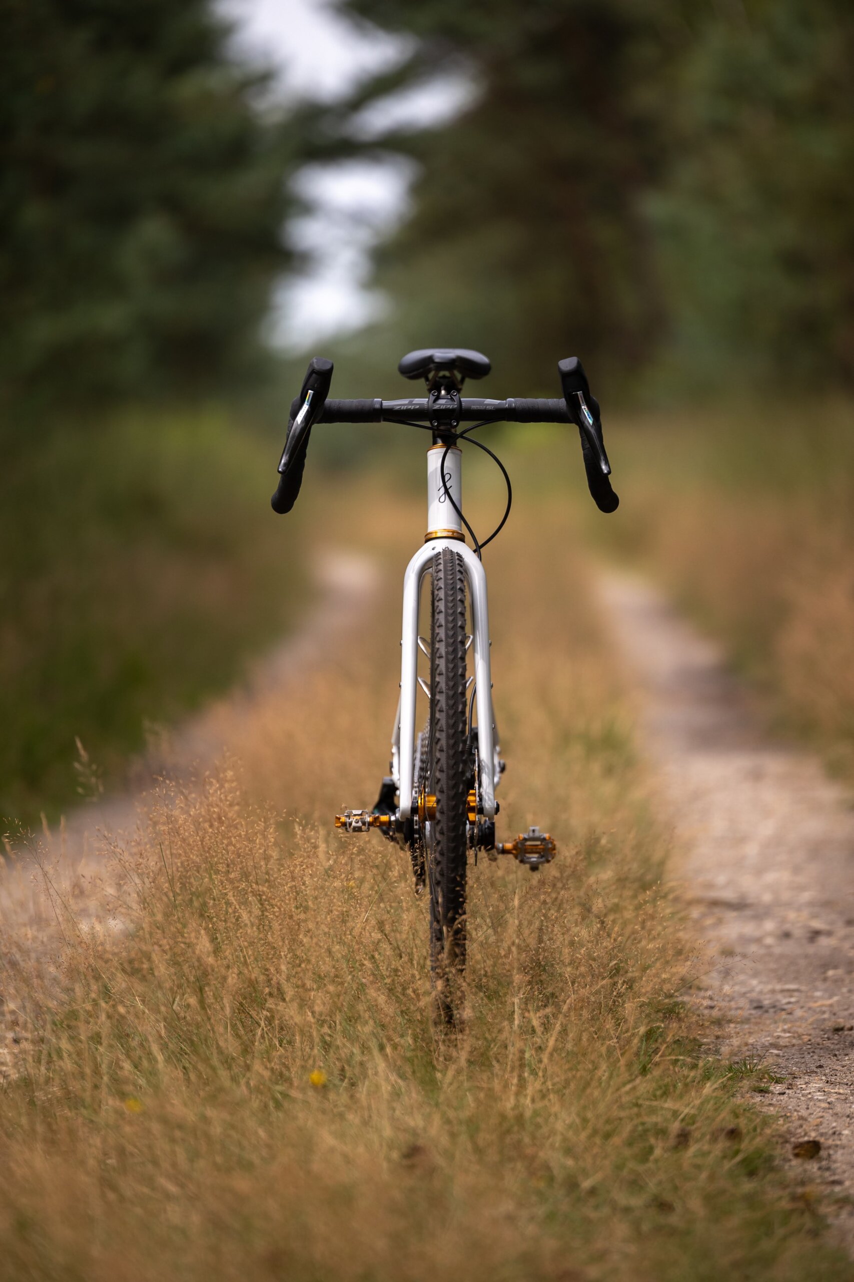 Secan 2.5 54R Monochrome