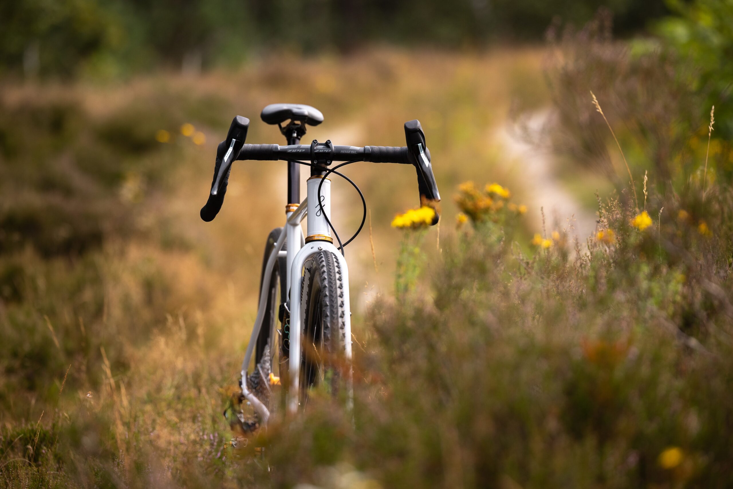 Secan 2.5 54R Monochrome