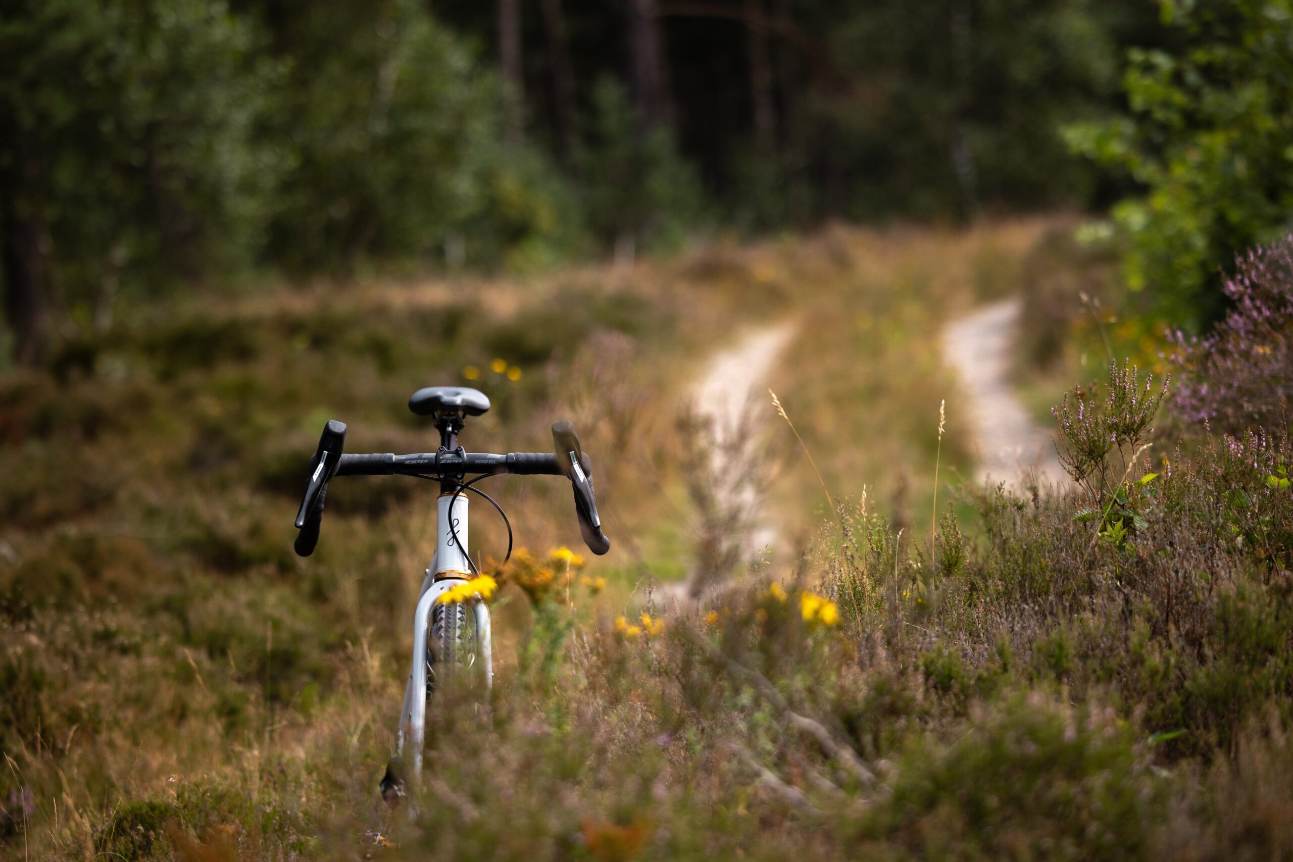 Secan 2.5 54R Monochrome