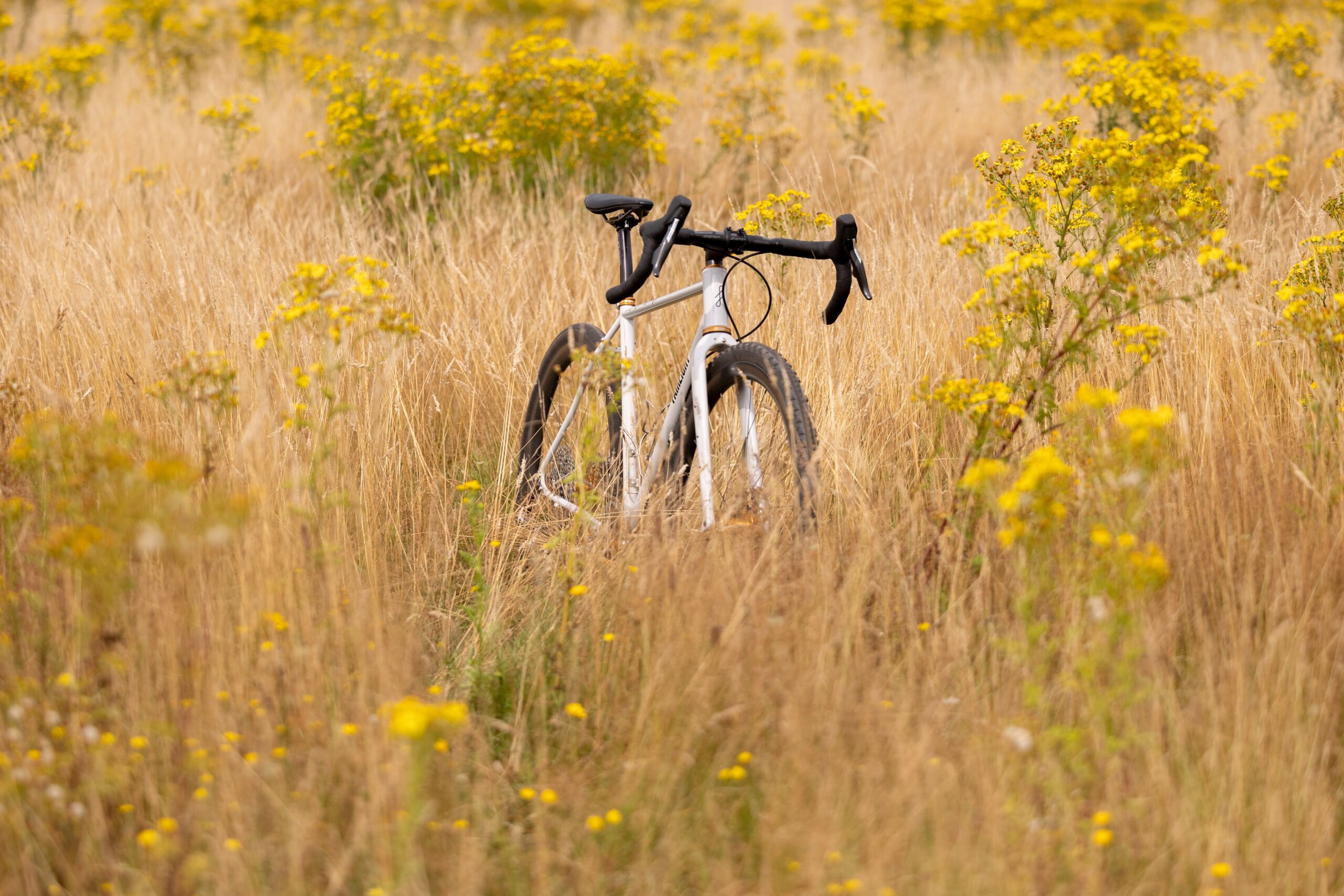 Secan 2.5 54R Monochrome