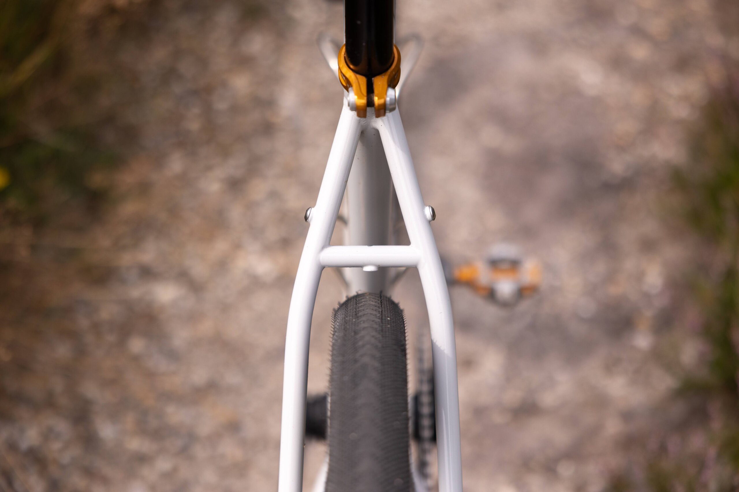 Secan 2.5 54R Monochrome