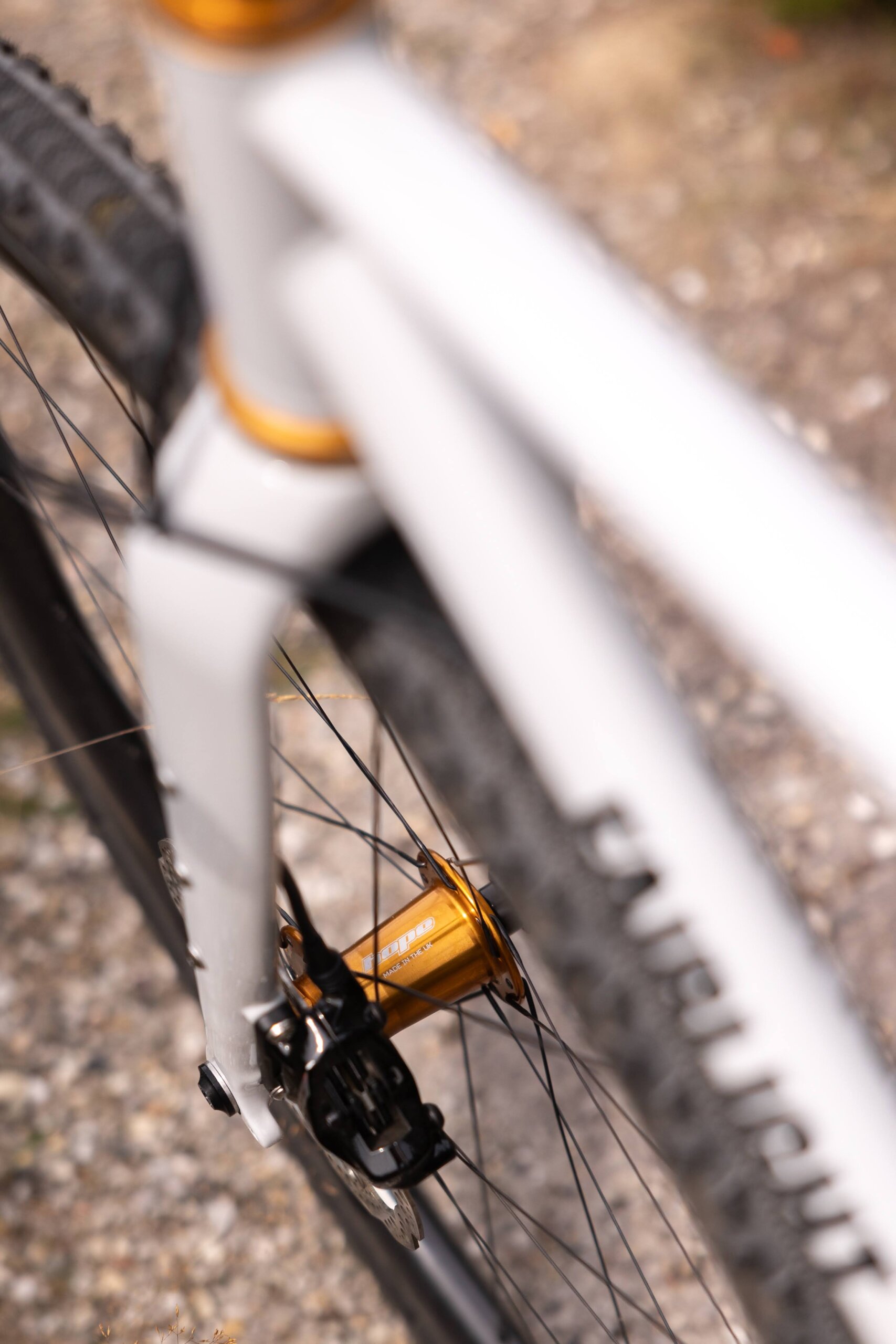 Secan 2.5 54R Monochrome