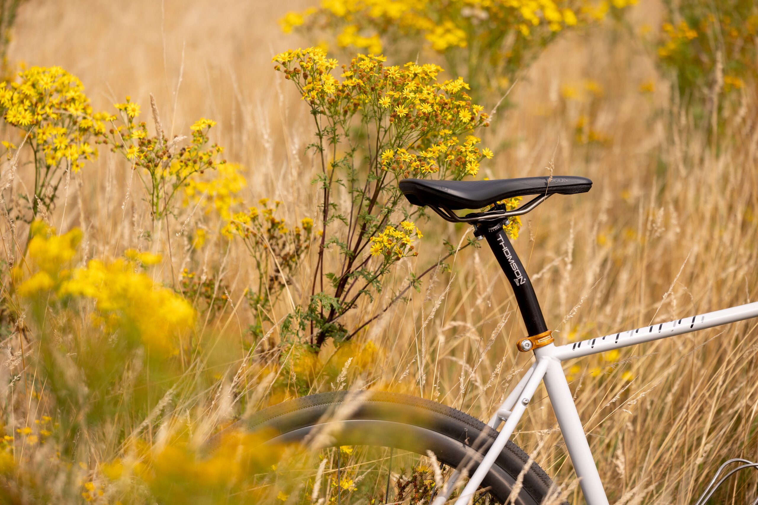 Secan 2.5 54R Monochrome