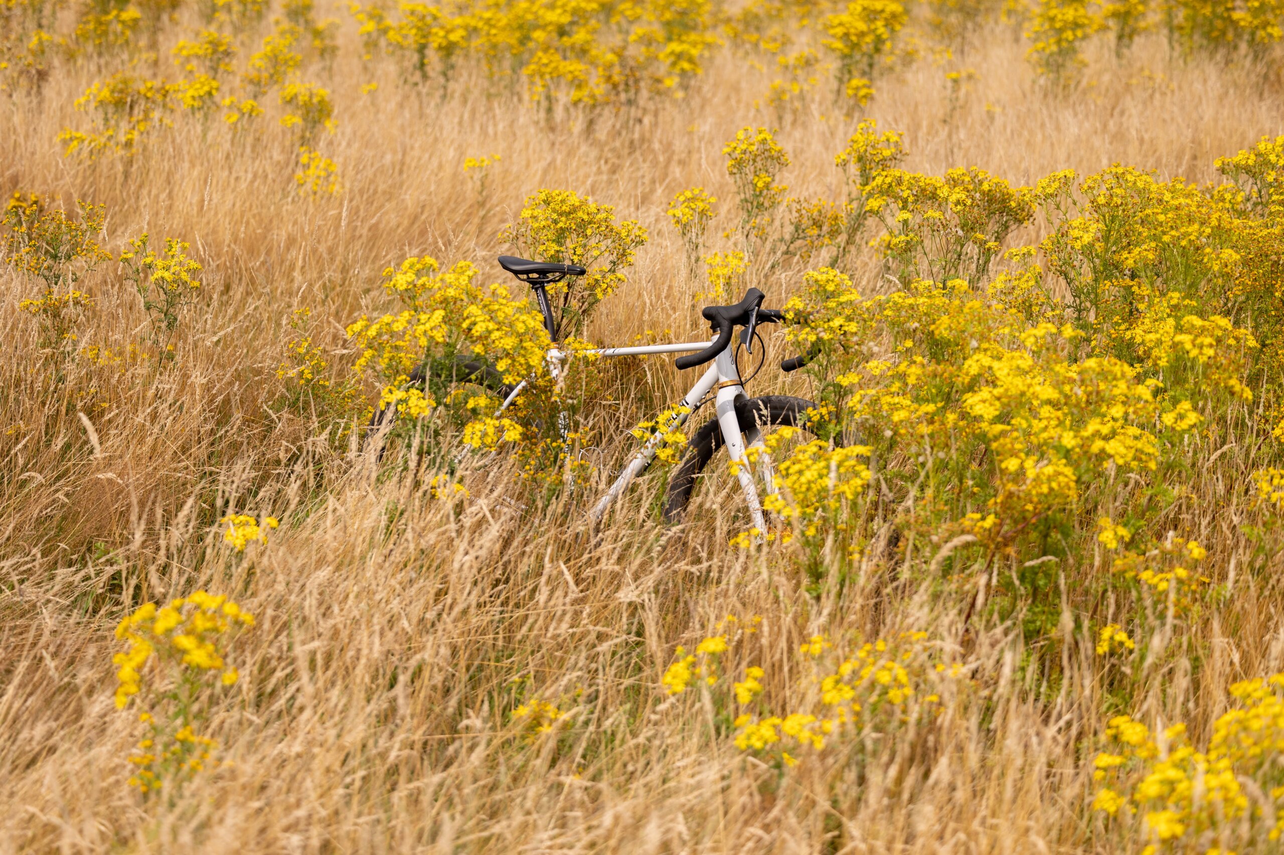 Secan 2.5 54R Monochrome