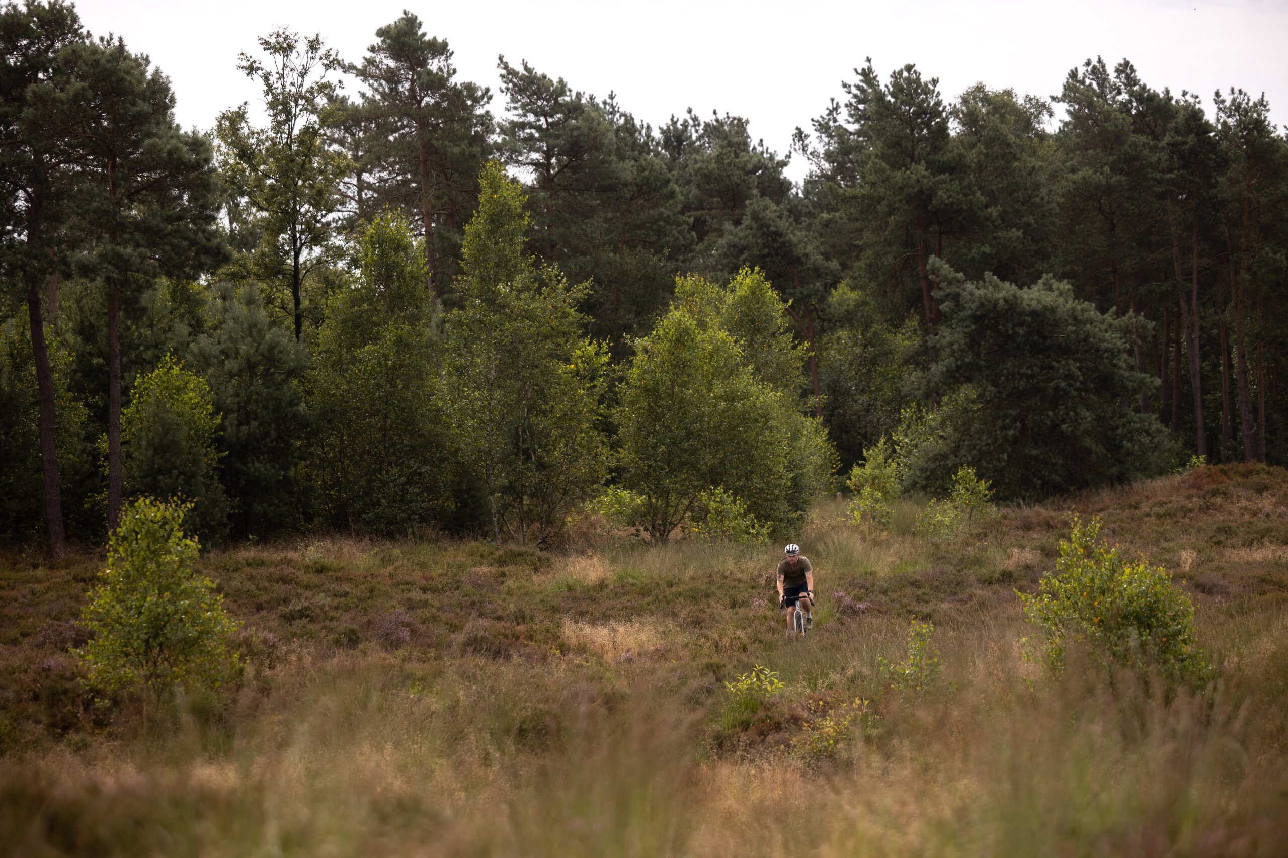 Secan 2.5 54R Monochrome