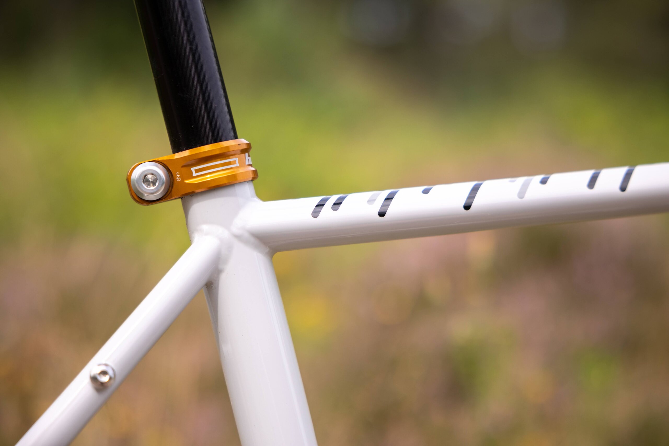 Secan 2.5 54R Monochrome