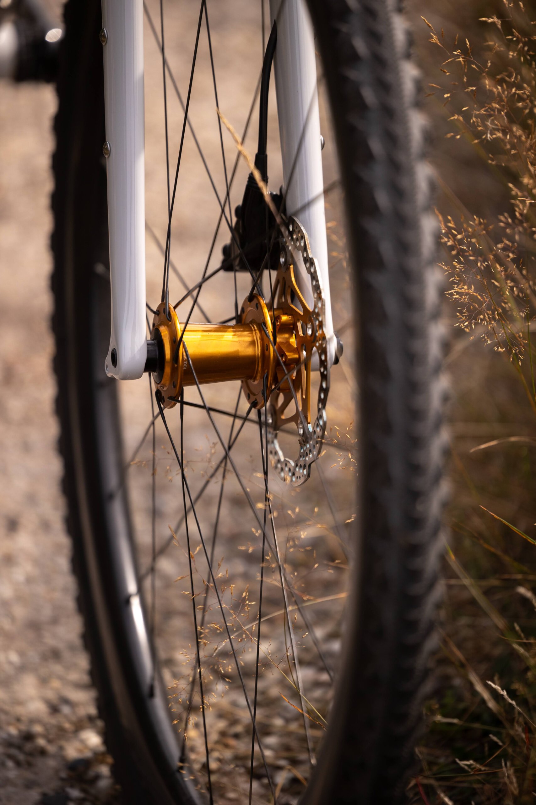 Secan 2.5 54R Monochrome