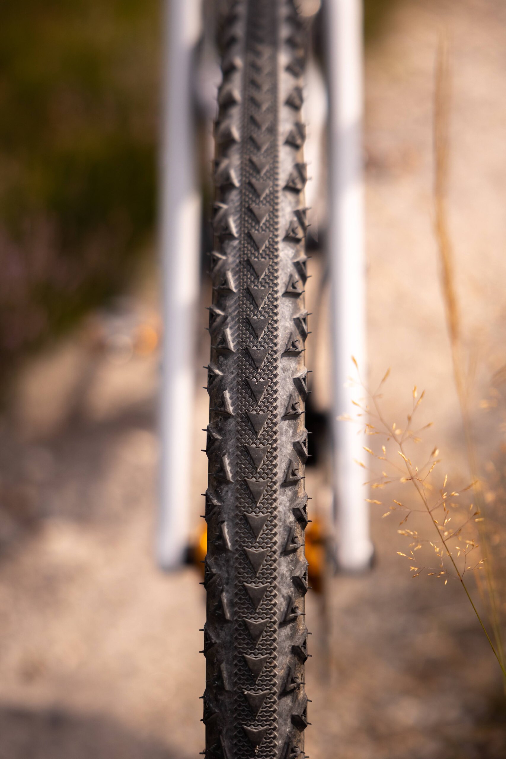 Secan 2.5 54R Monochrome