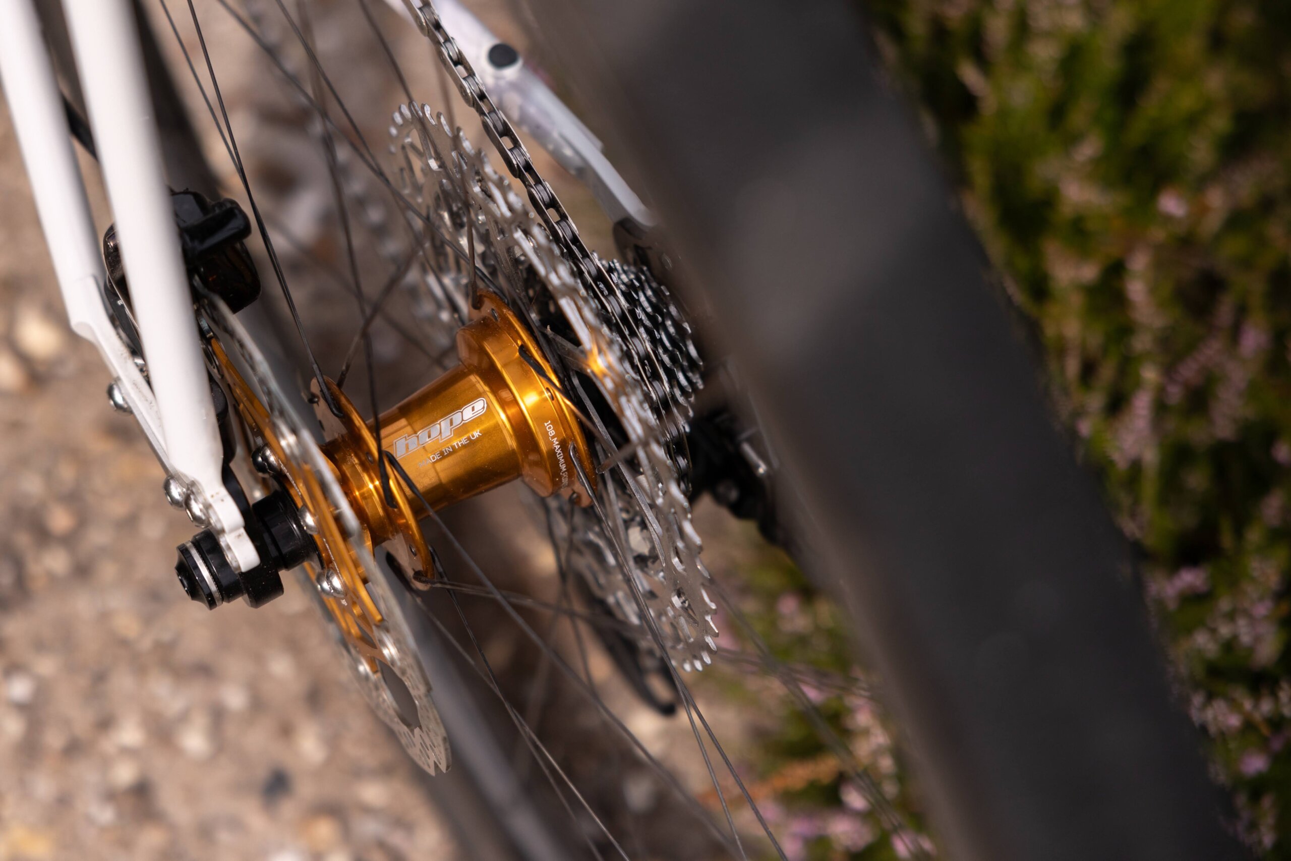 Secan 2.5 54R Monochrome