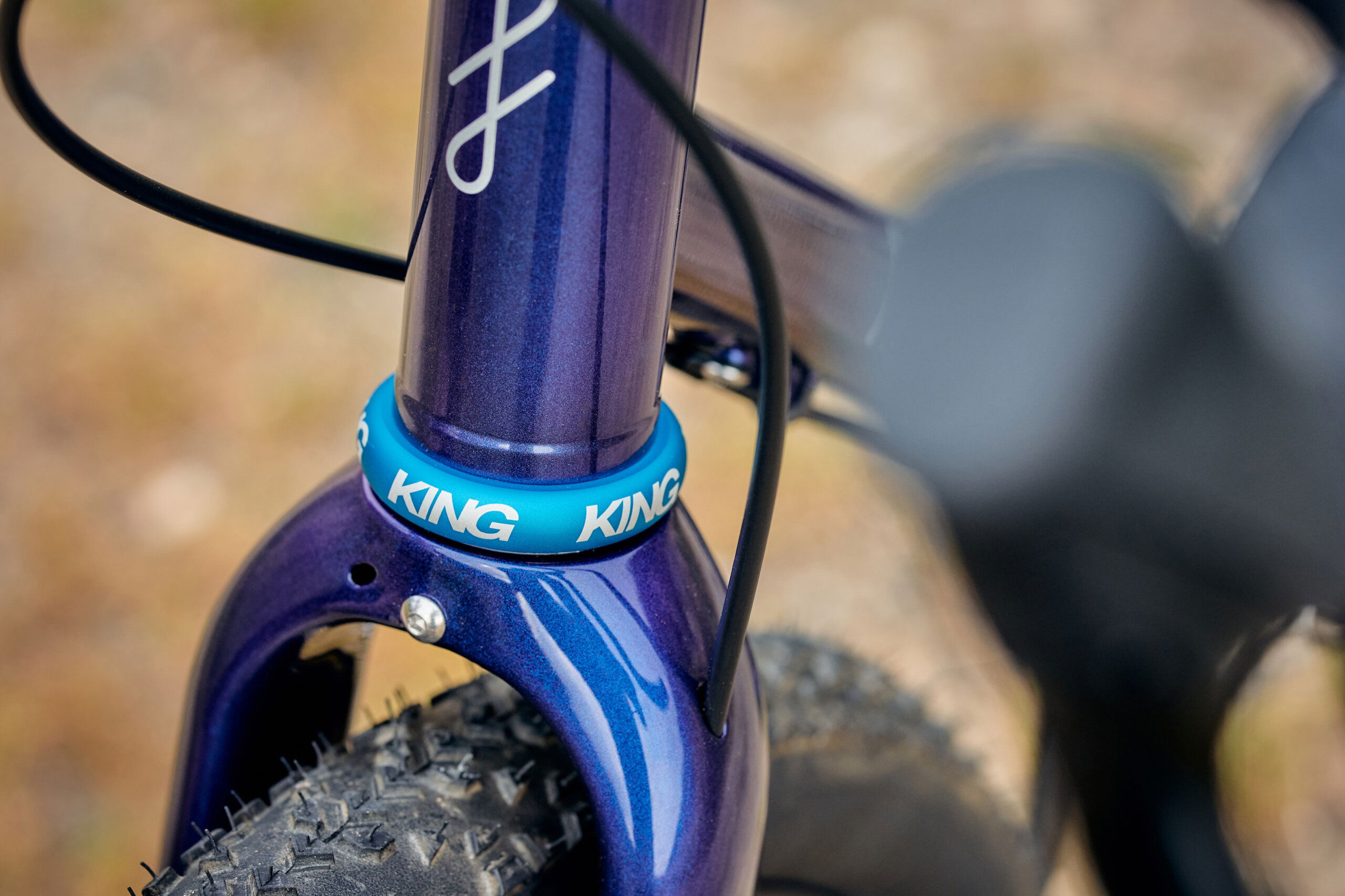 Secan 2.5 54T Iridescent Plum