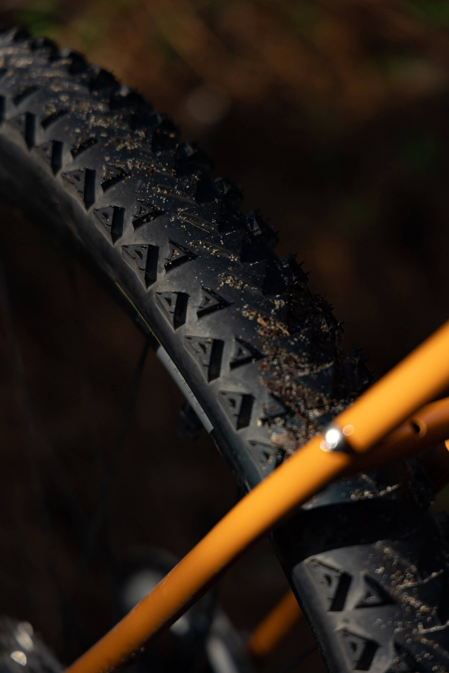 Faran 2.5 58T Winter Bracken