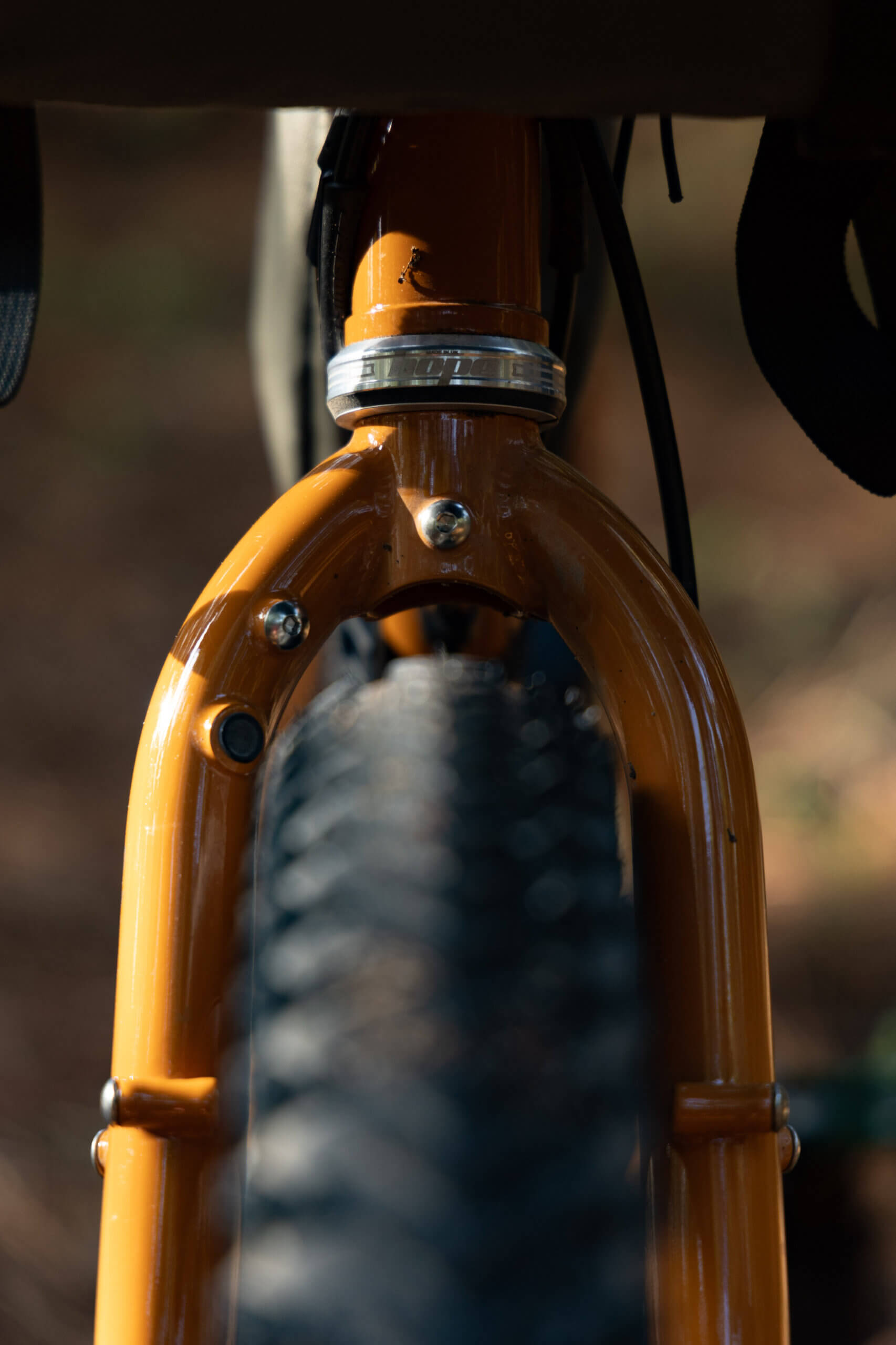 Faran 2.5 58T Winter Bracken