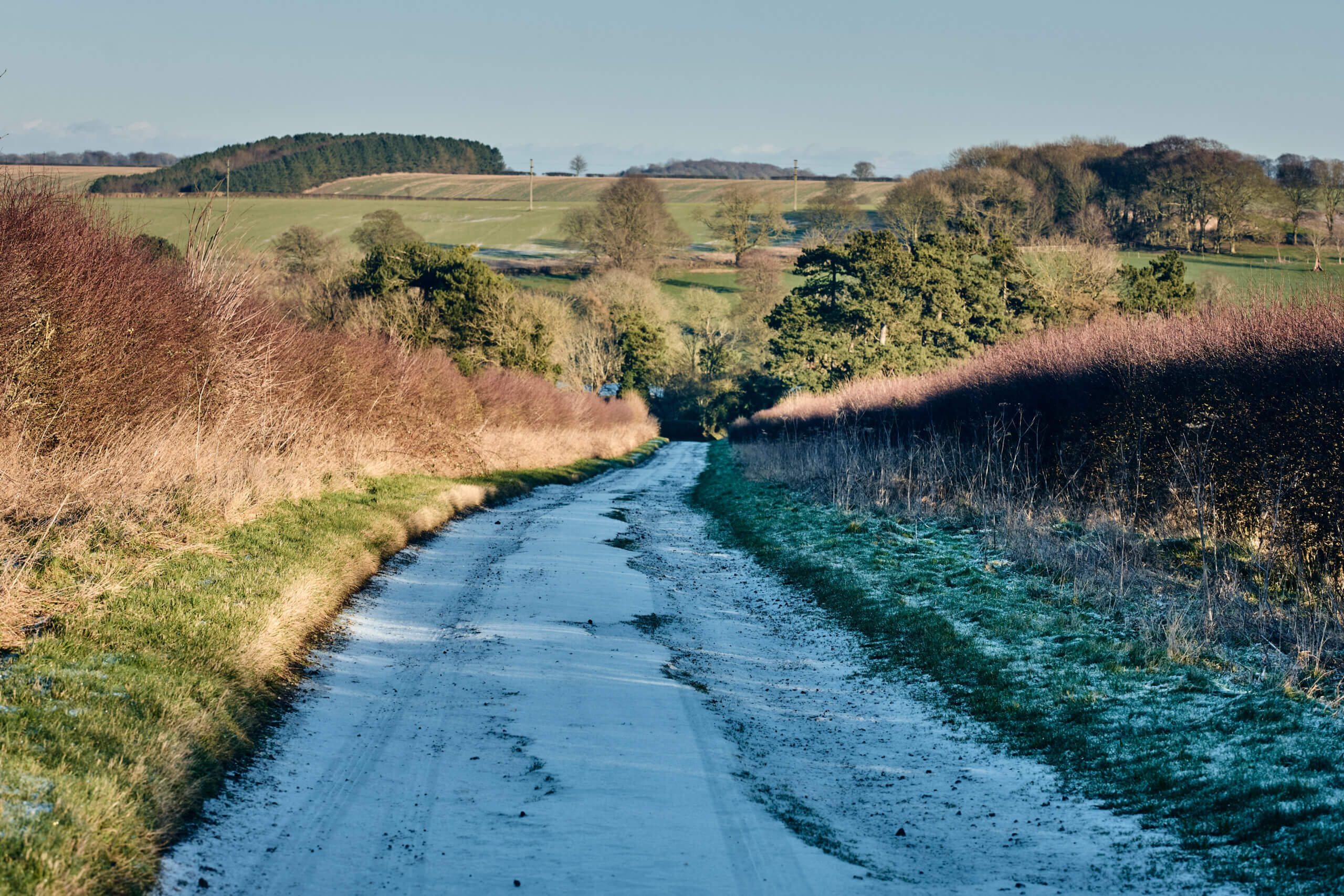 Secan 3.0 51T Pearlescent Blue