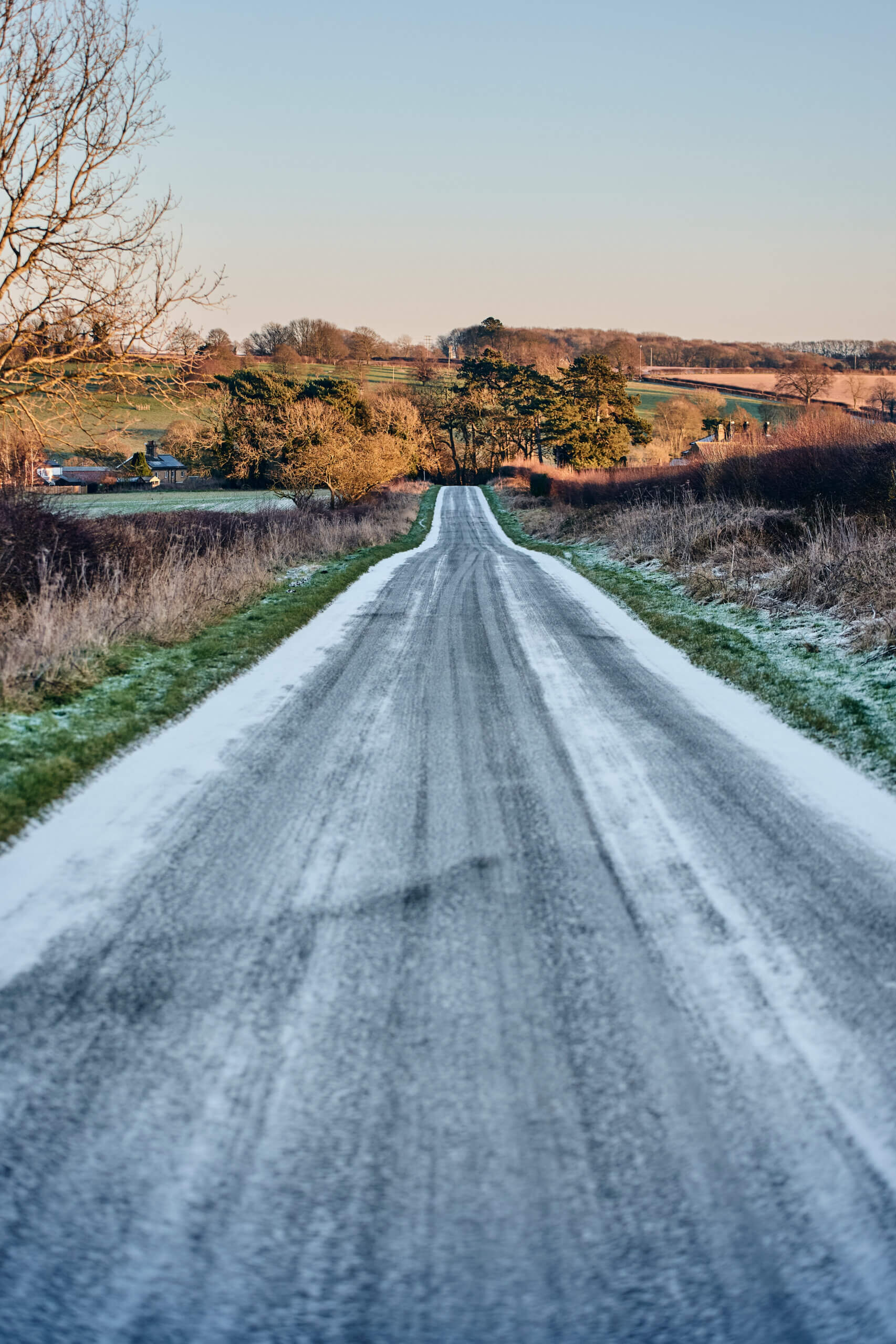 Secan 3.0 51T Pearlescent Blue