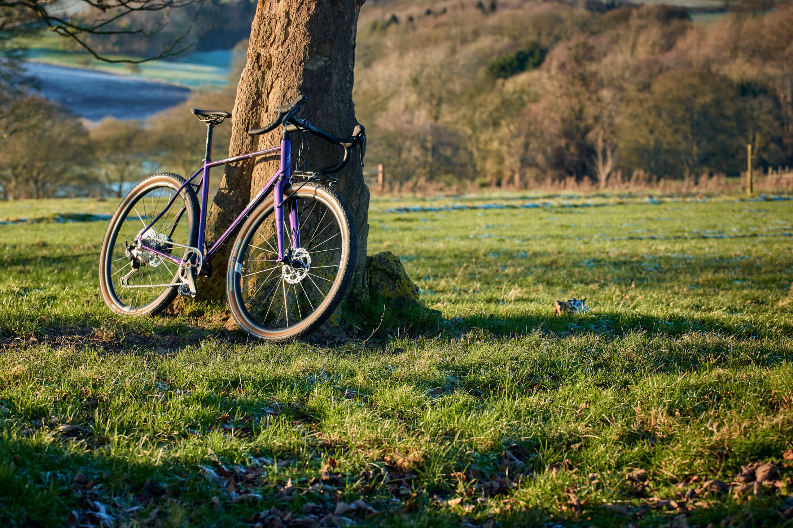 Secan 3.0 56T Iridescent Plum