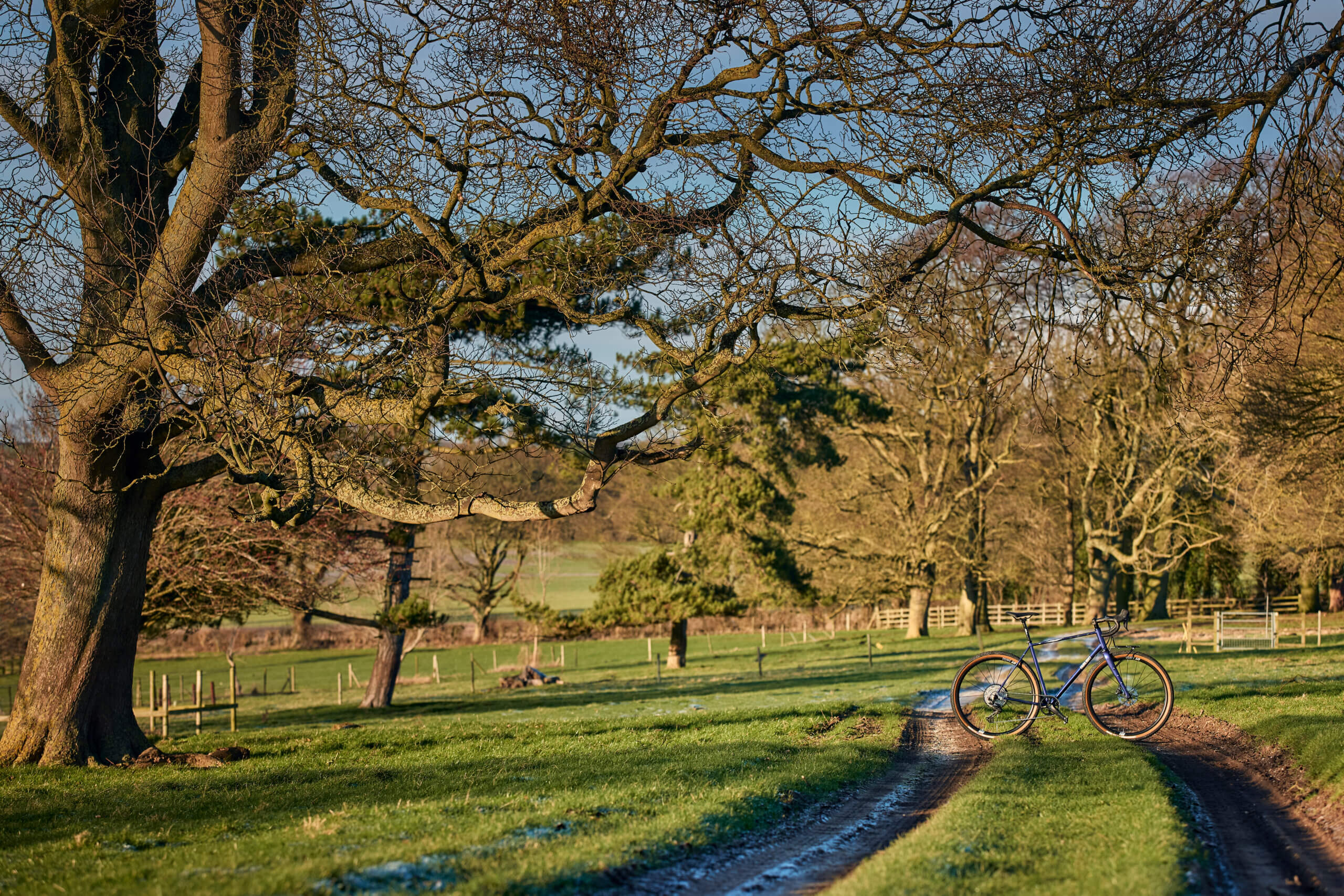 Secan 3.0 56T Iridescent Plum