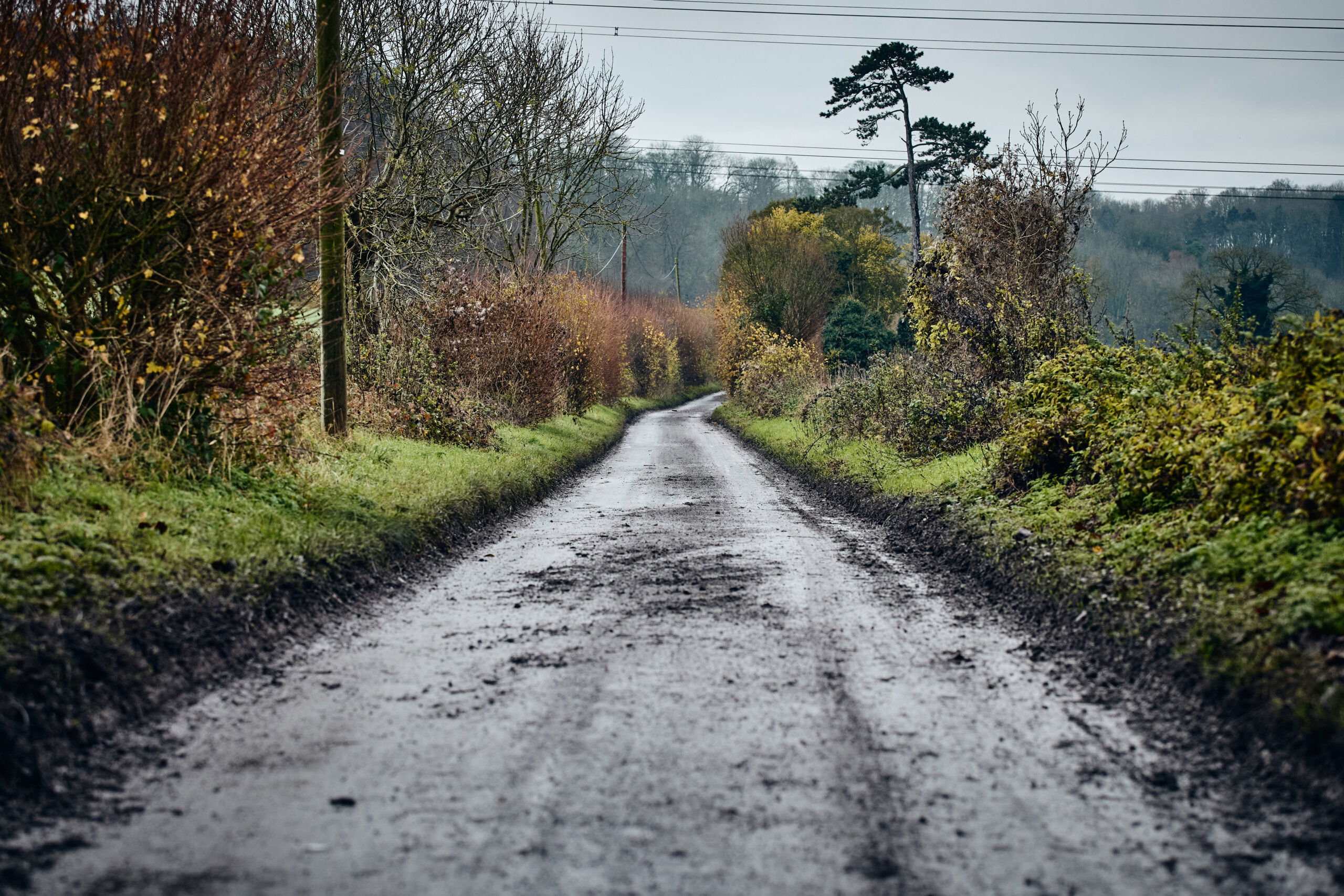 Secan 3.0 58T Burnt Orange