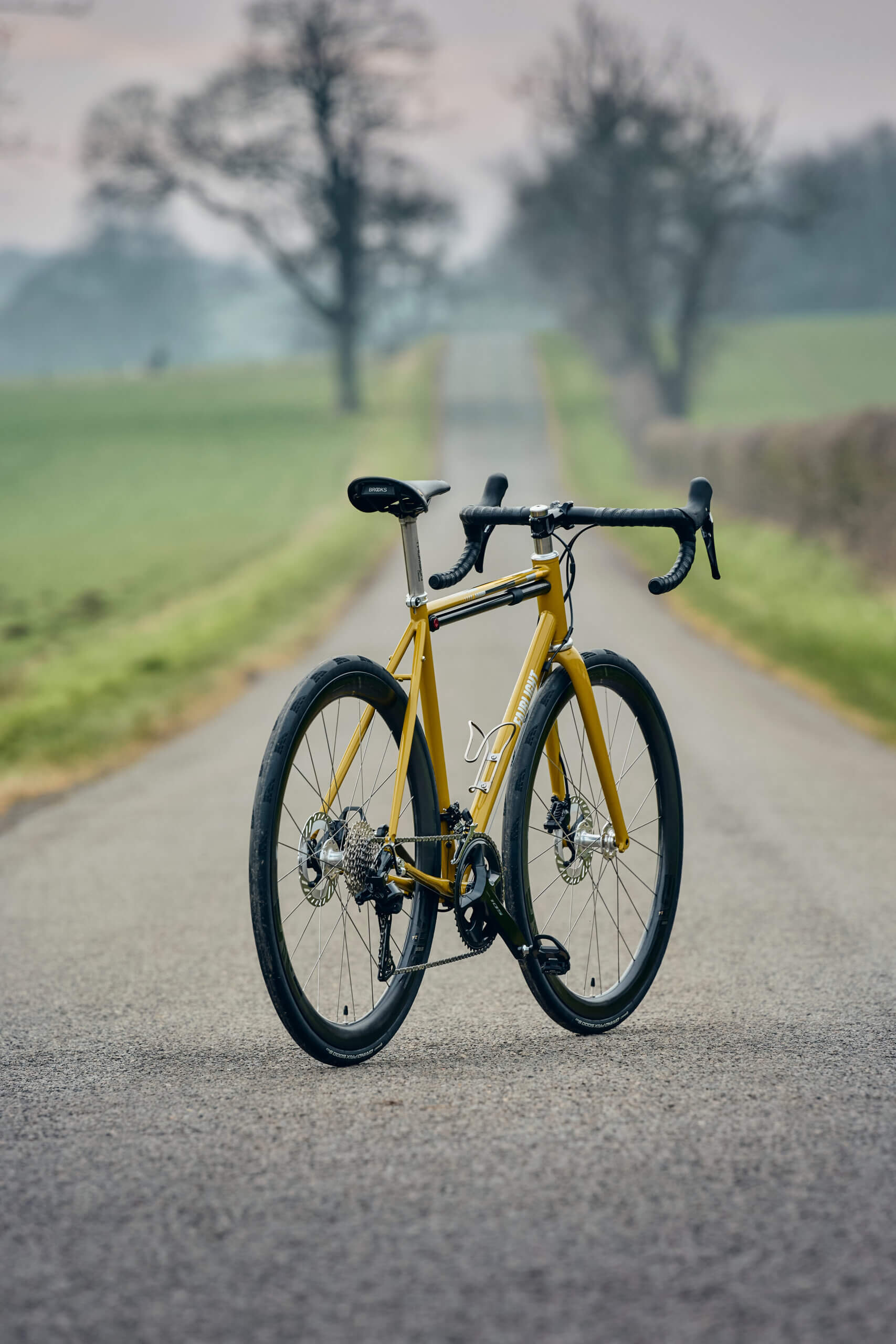 Strael 4.0 54T Ochre