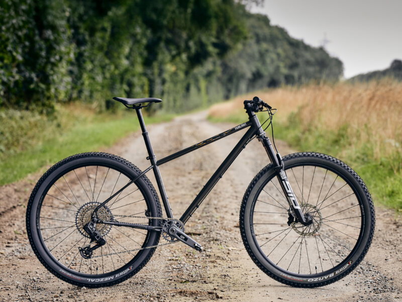 Holt 2.0 Mountain Bike