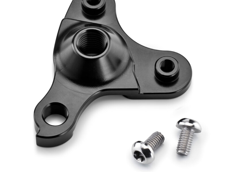 Standard Derailleur Hanger Insert for Holt 2.0